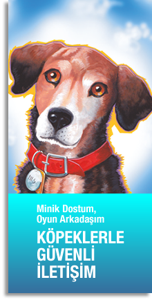 k�peklerle g�venli ileti�im / k�pek �s�r���ndan korunmak