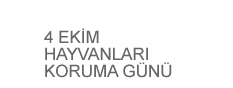 4 Ekim Hayvanlar� Koruma G�n�