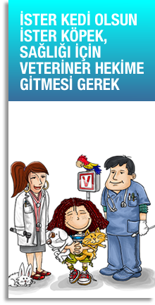 ister kedi olsun ister k�pek, sa�l��� i�in veteriner hekime gitmesi gerek